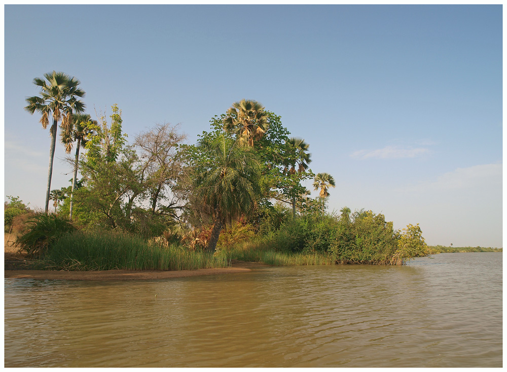 Gambia River