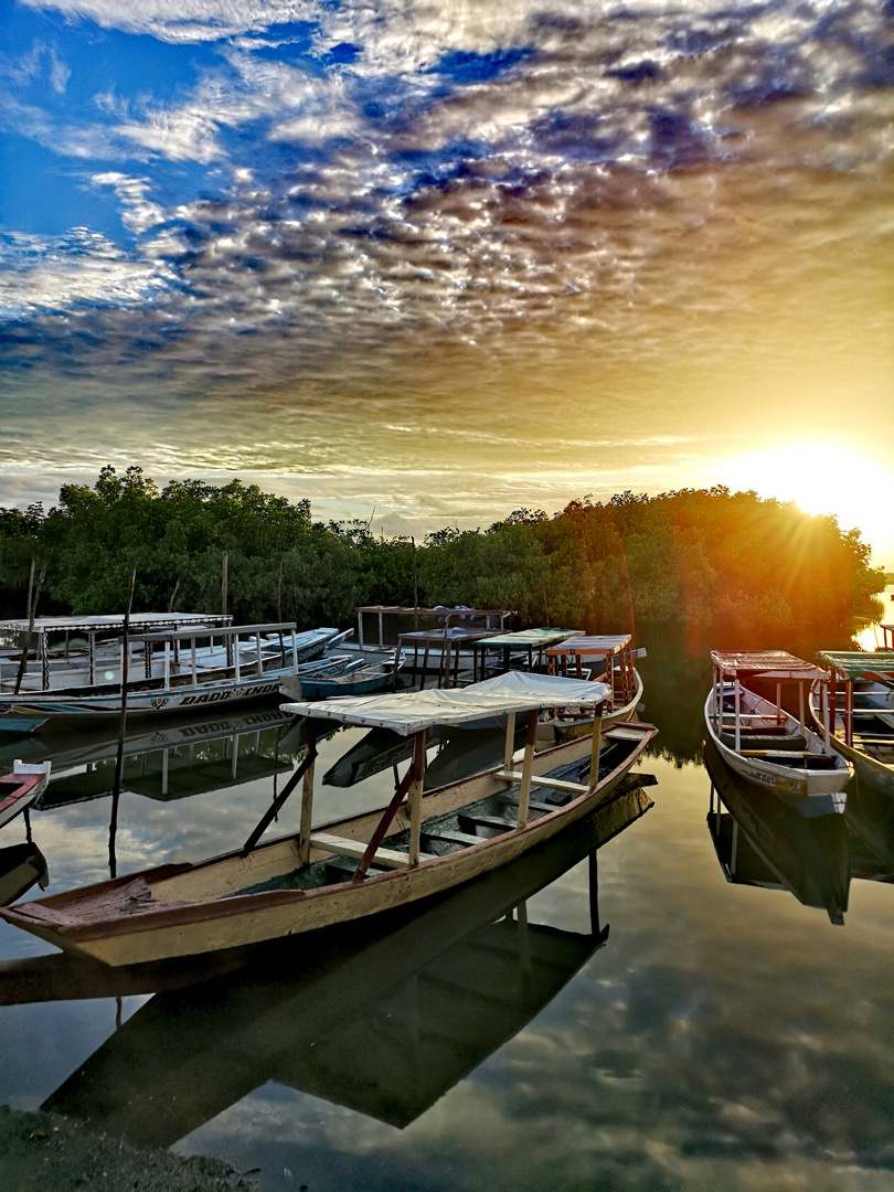 Gambia River 