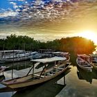 Gambia River 