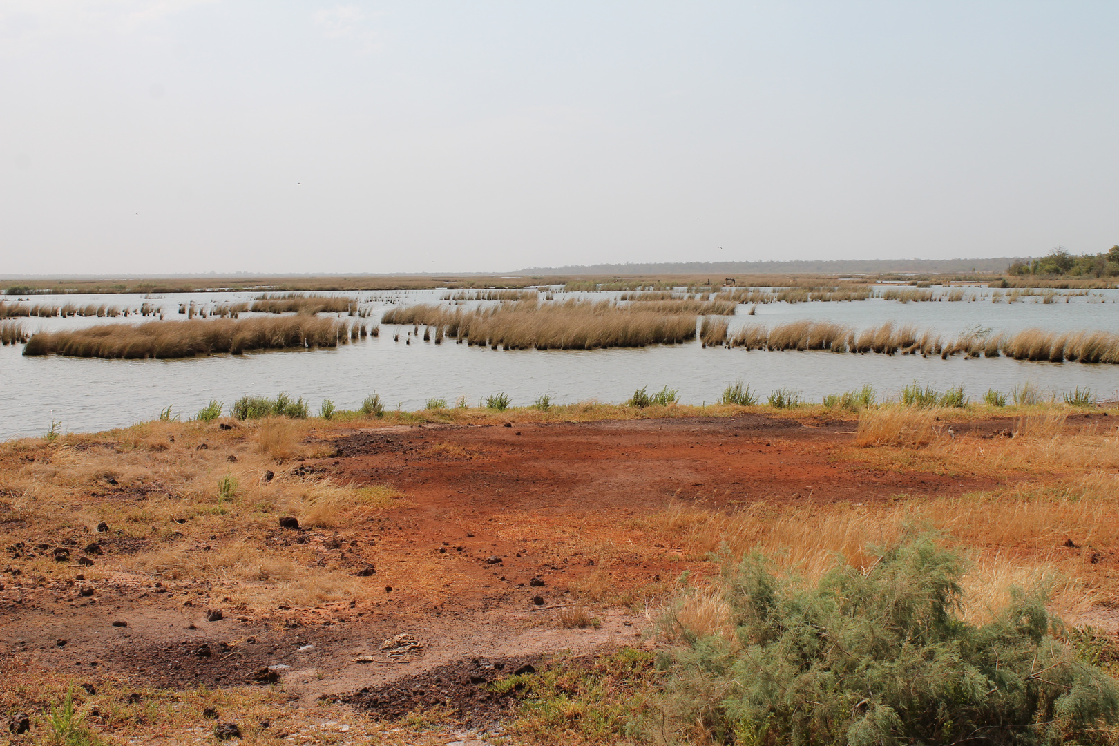 Gambia-River