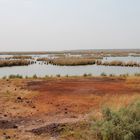 Gambia-River