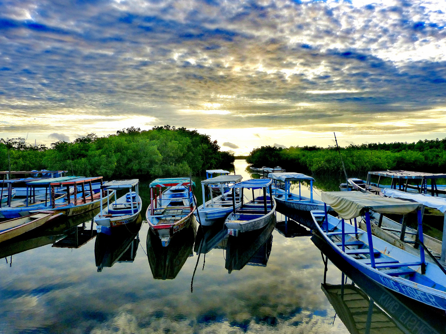 Gambia River 