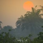 Gambia Sunrise