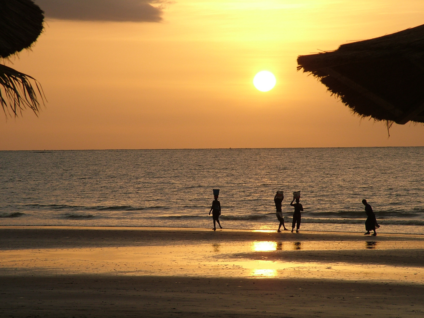 Gambian women return home with their catch