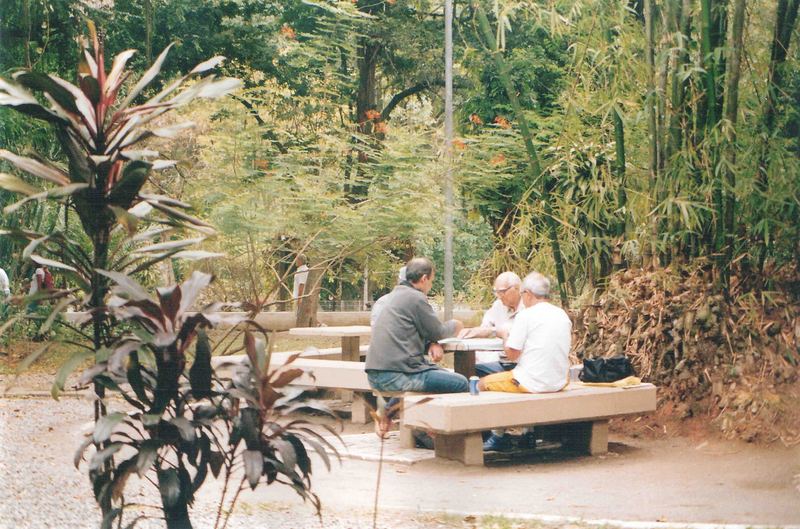 Gambling at the park