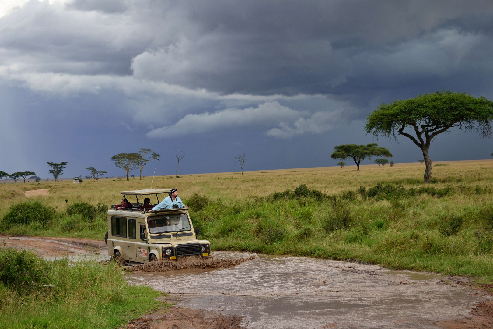 Game drive