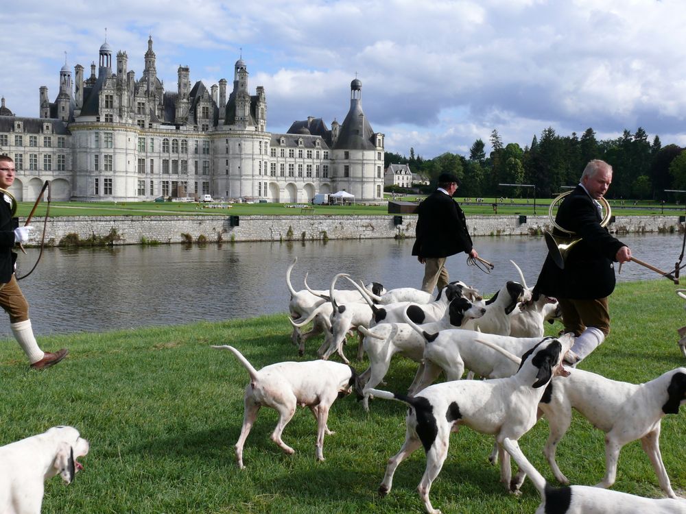 Game fair Chambord