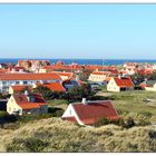 gamle skagen