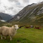 Gamle Strynefjellsvegen