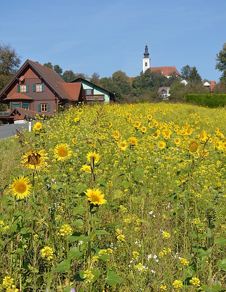 Gamlitz-Kitzeck in der Steiermark