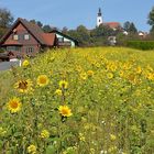 Gamlitz-Kitzeck in der Steiermark