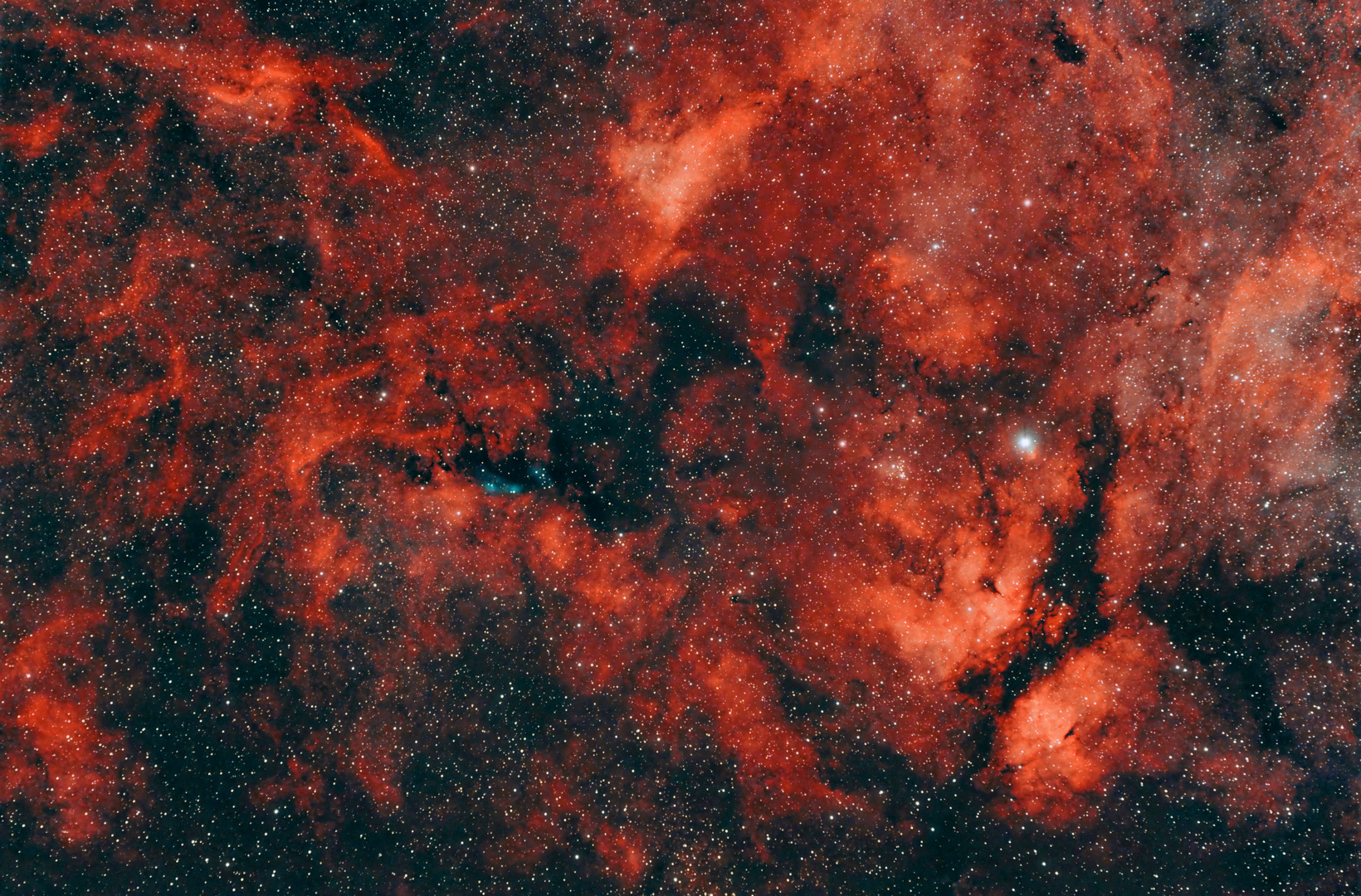 Gamma Cygni Nebelregion