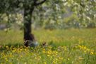 Gammeln an Ostern von derjenigewelche 