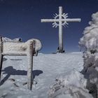 Gamskopf im Winter