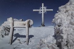 Gamskopf im Winter