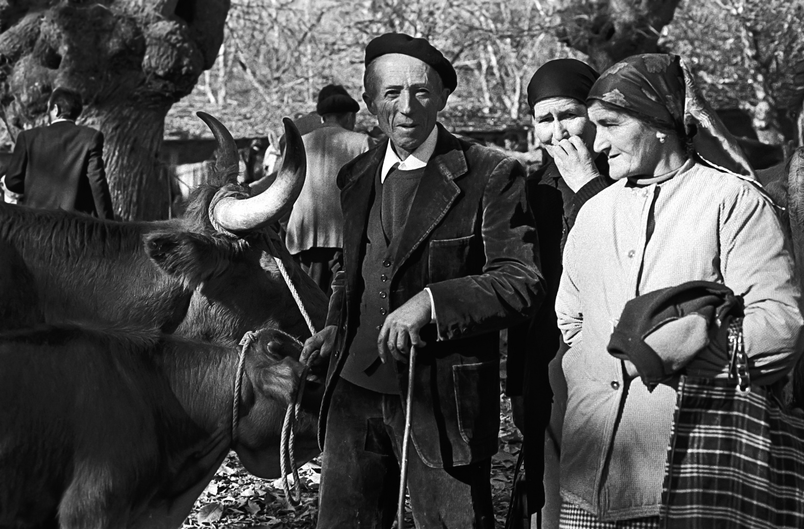 GANADEROS(esta fotografía fué elegida por FOTOCUMMUNITY francesa para la página pral.)