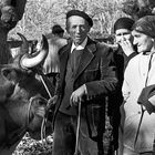 GANADEROS(esta fotografía fué elegida por FOTOCUMMUNITY francesa para la página pral.)