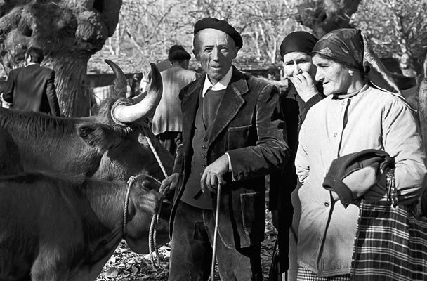 GANADEROS(esta fotografía fué elegida por FOTOCUMMUNITY francesa para la página pral.)