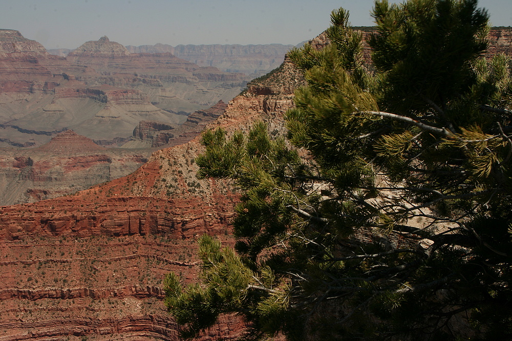 Gand Canyon, 08.Mai 2011