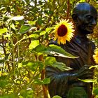 Gandhi in den Sonnenblumen