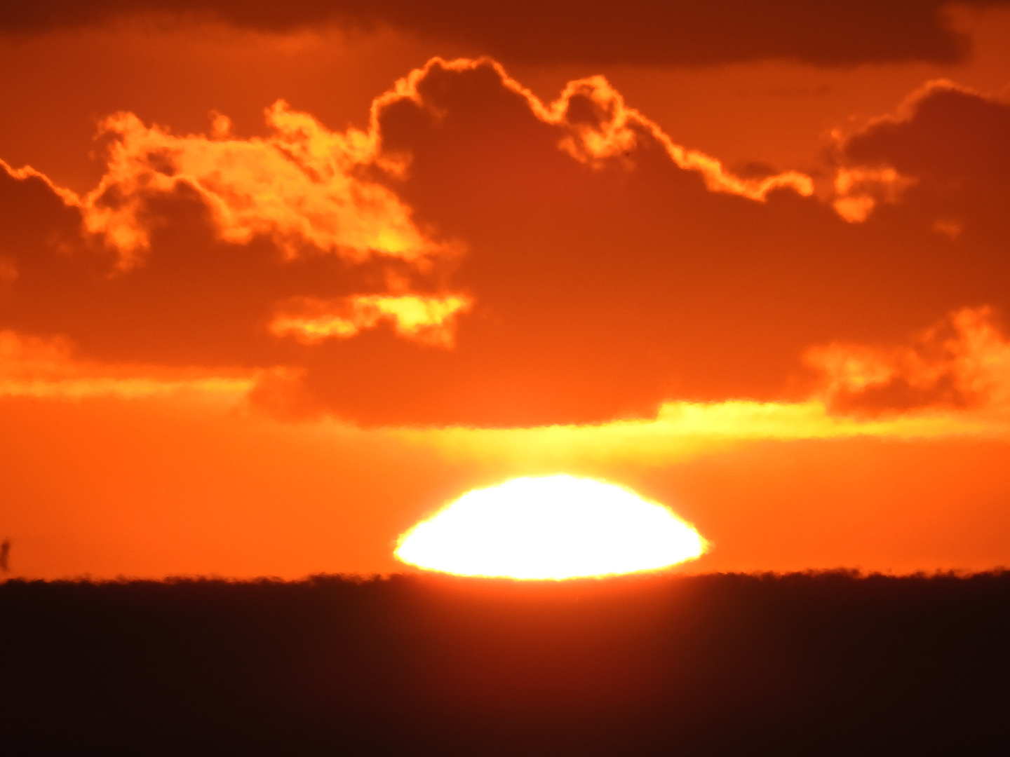 Gandia Valencia Sonnenaufgang