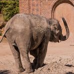 "Ganesha Mandir" im Zoo Leipzig