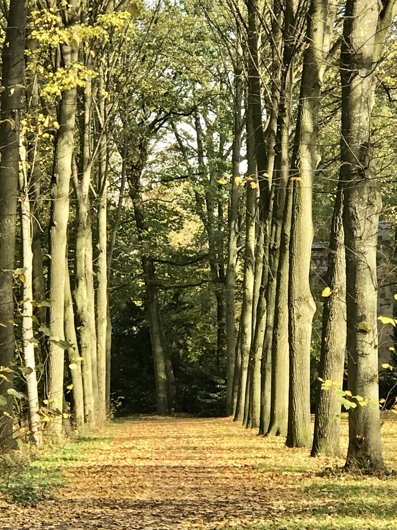 Gang durch den Herbst