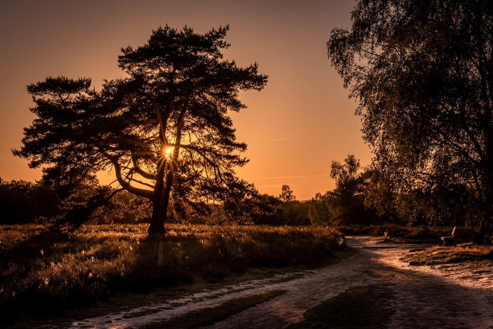 Gang durch die Heide 2