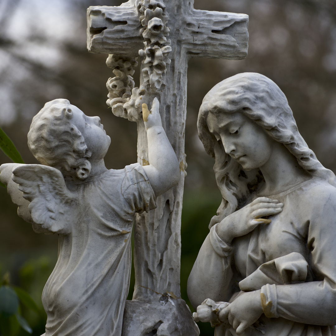 Gang durch Friedhof Ohlsdorf 