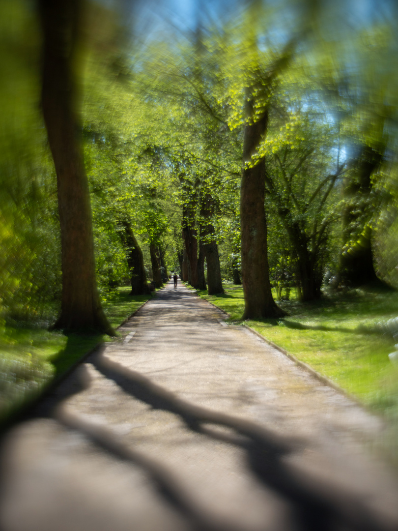 Gang über den Ostfriedhof