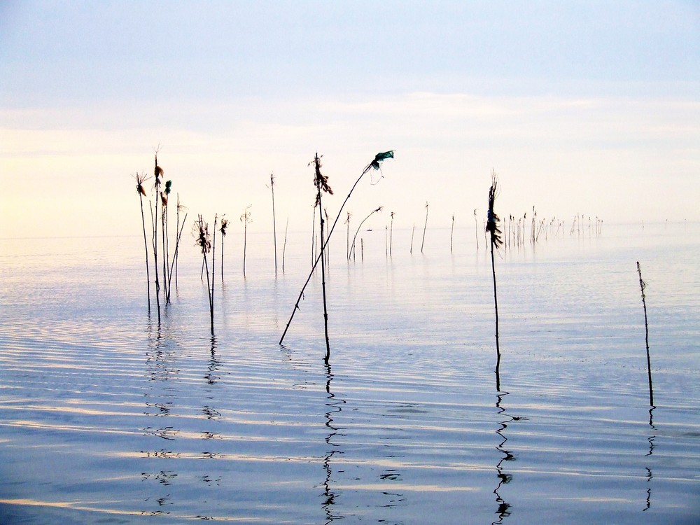 Gang übers Wasser