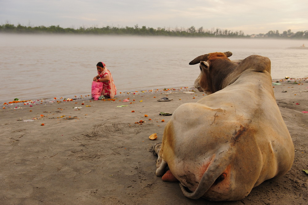 Ganga river