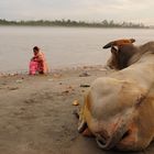 Ganga river