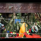 Gangaramaya Temple VI, Colombo / LK