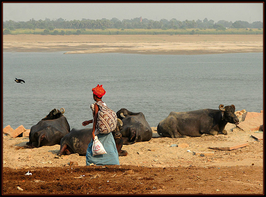 Ganges-Impression