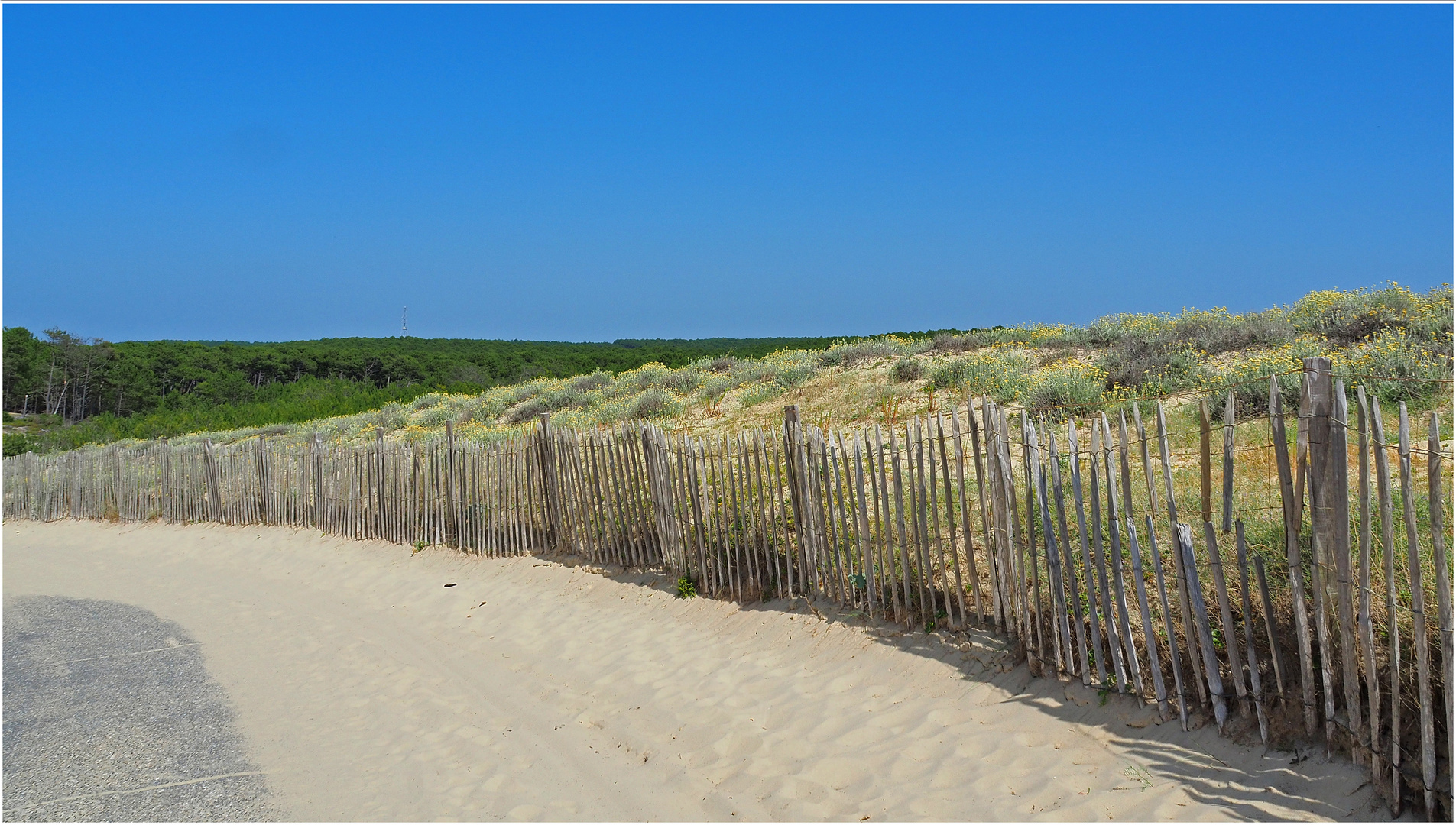 Ganivelles du chemin d’accès de la plage de Lespecier