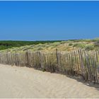 Ganivelles du chemin d’accès de la plage de Lespecier