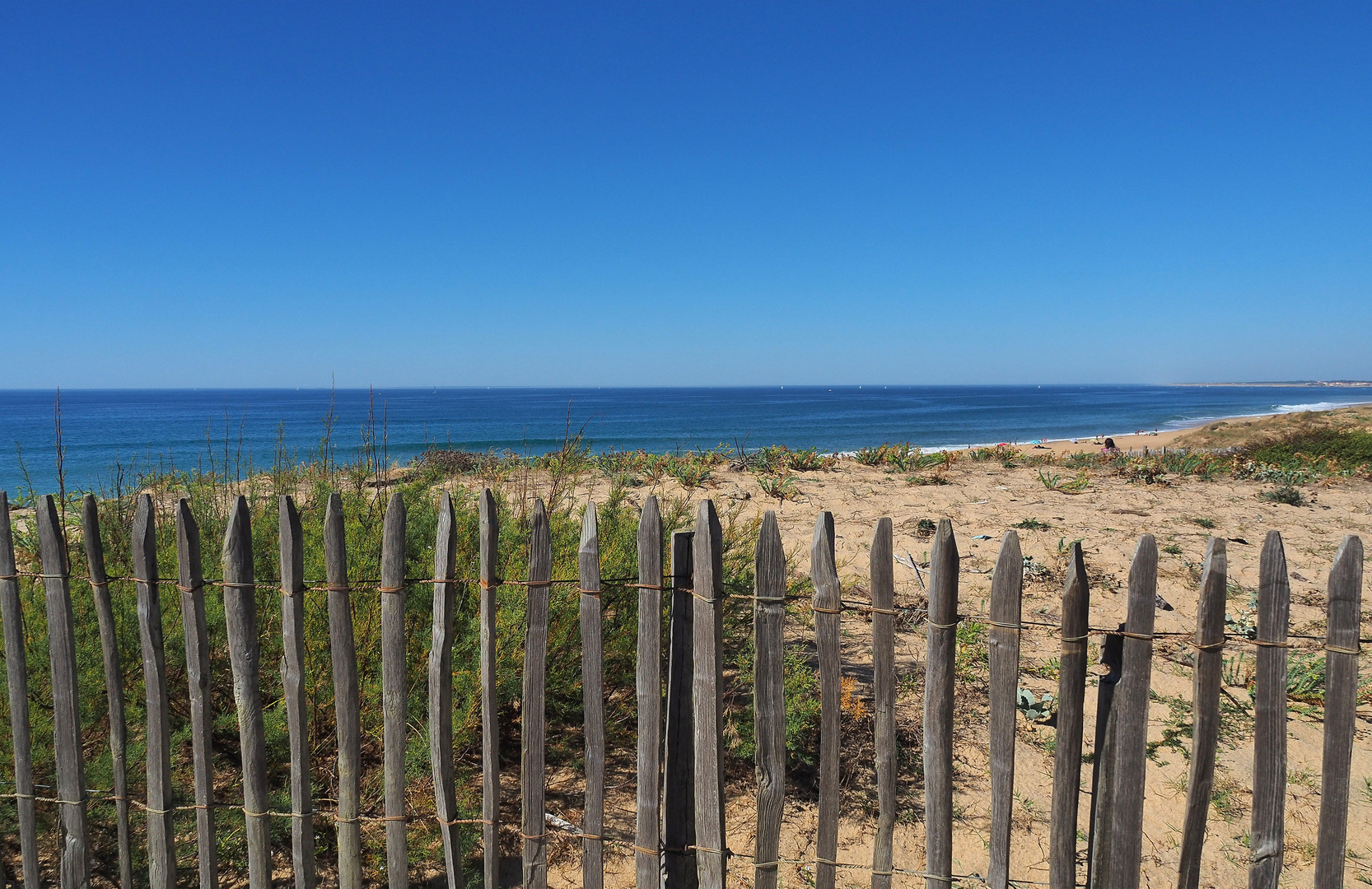 Ganivelles sur la plage de Labenne