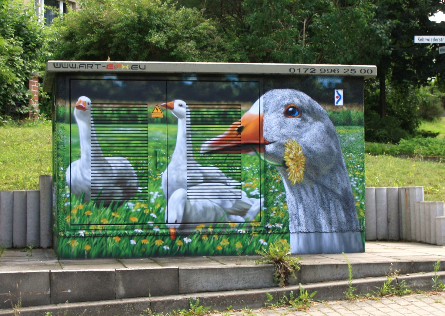 Gans elektrisiert