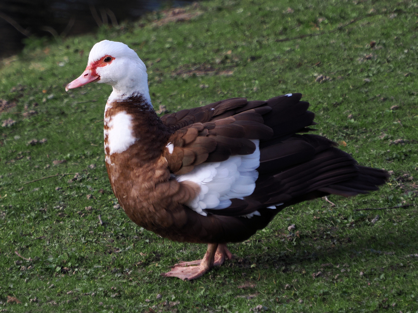 Gans gutes Wetter heute …