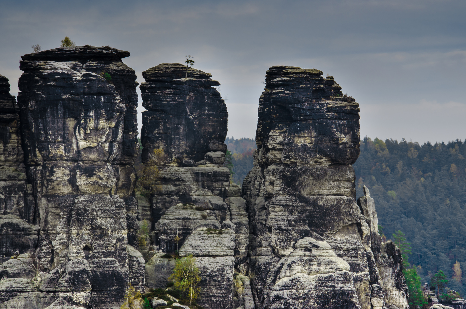 Gansfelsen bei Rathen