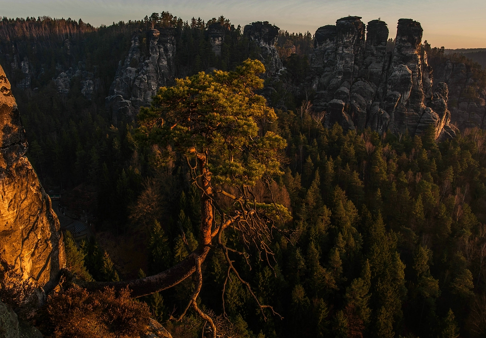 Gansfelsen