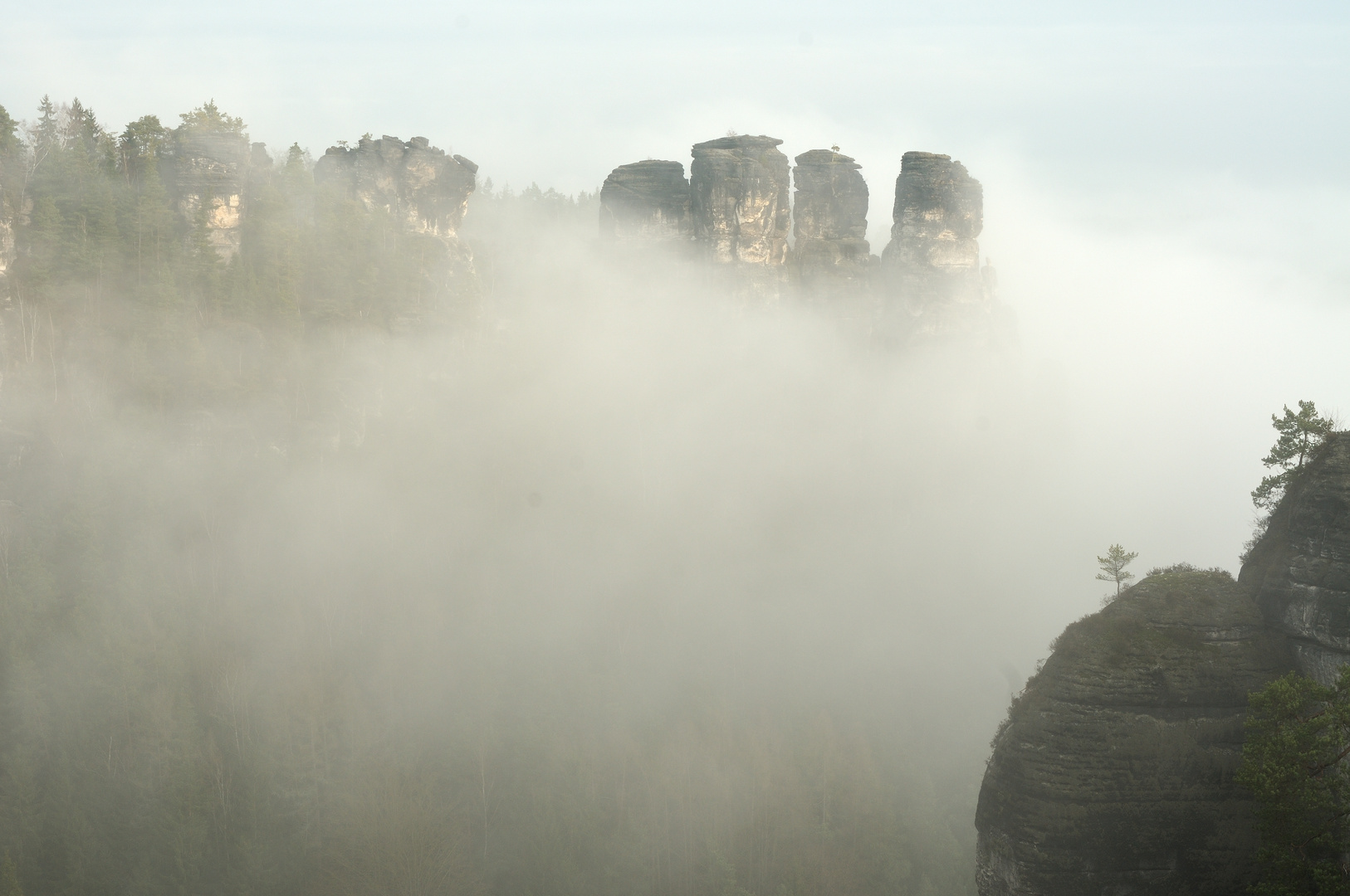 Gansfelsen im Elbnebel