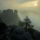 Gansfelsen im Nebel