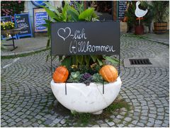 Ganslessen, mit Rotkraut und Knödel, ein Glas Wein dazu - und