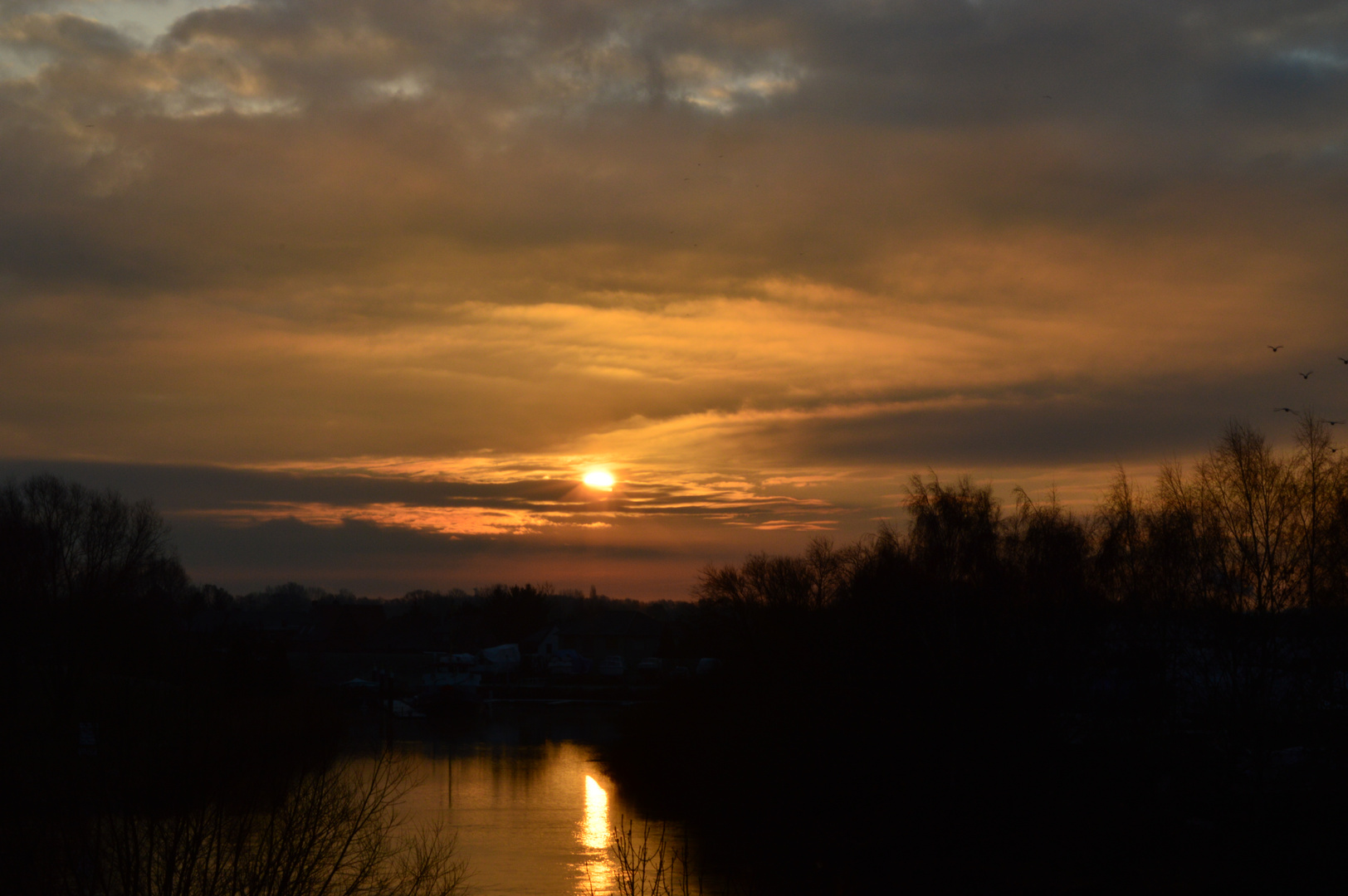 Gantenbein 3, Sonnenaufgang über der Ilmenau bei Hoopte