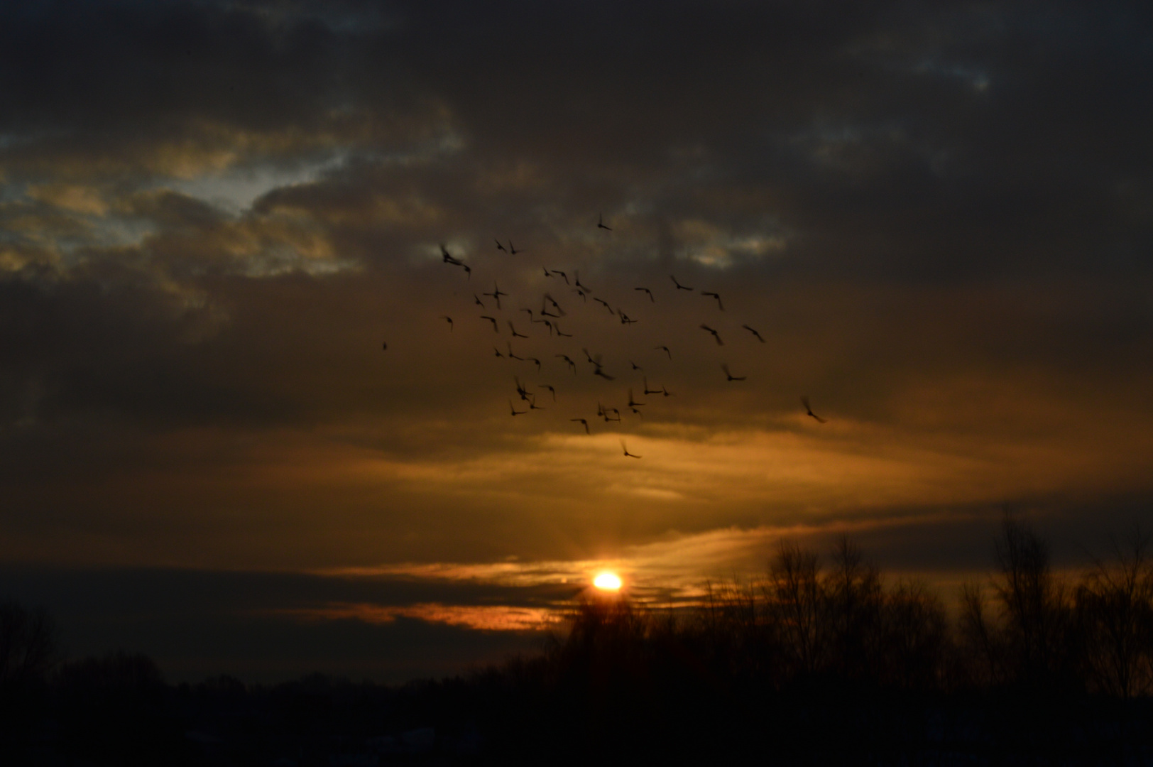 Gantenbein 4, Sonnenaufgang über der Ilmenau bei Hoopte