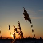 Gantenbein 6, Abendstimmung bei Hoopte