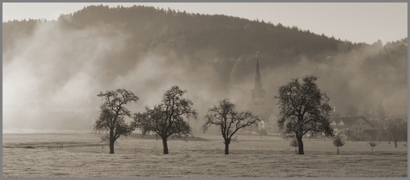 Ganterschwil im Nebel #2