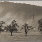 Ganterschwil im Nebel #2